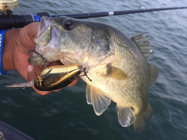 hideup 永野総一朗 ブログ写真 2016/10/03