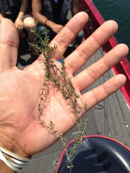 hideup 永野総一朗 ブログ写真 2014/08/01