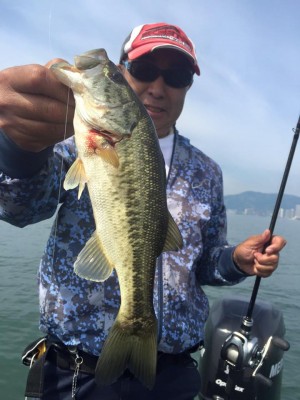 hideup 永野総一朗 ブログ写真 2016/05/19