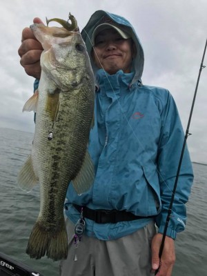 hideup 永野総一朗 ブログ写真 2017/05/26