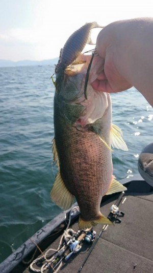 hideup 永野総一朗 ブログ写真 2016/08/12