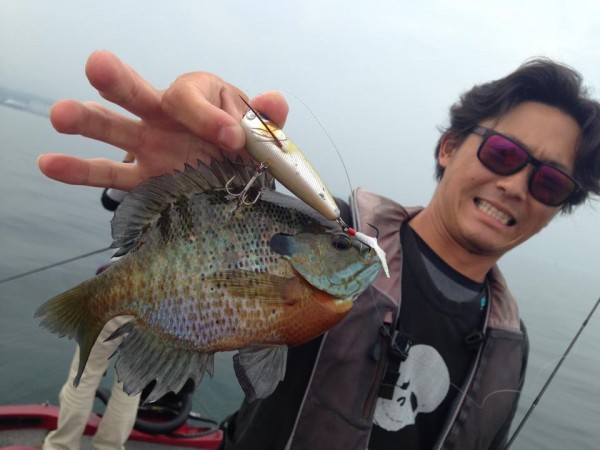 hideup 永野総一朗 ブログ写真 2015/06/16