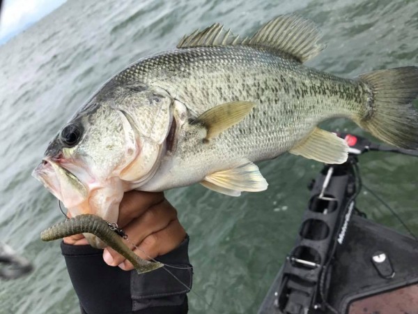 hideup 永野総一朗 ブログ写真 2017/05/27