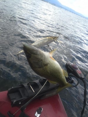 hideup 永野総一朗 ブログ写真 2015/08/26