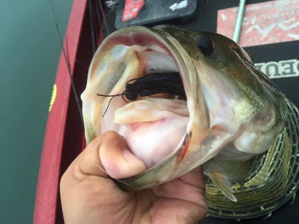 hideup 永野総一朗 ブログ写真 2015/11/17