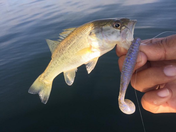 hideup 永野総一朗 ブログ写真 2016/10/15