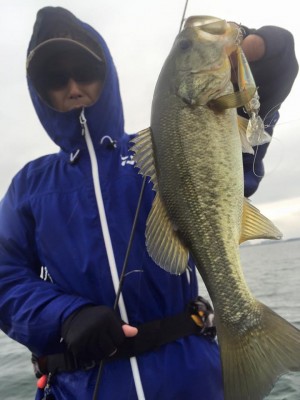 hideup 永野総一朗 ブログ写真 2015/11/08