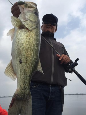 hideup 永野総一朗 ブログ写真 2015/10/22