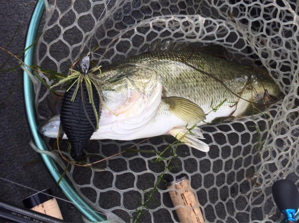 hideup 永野総一朗 ブログ写真 2015/07/14