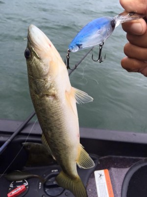 hideup 永野総一朗 ブログ写真 2016/09/05