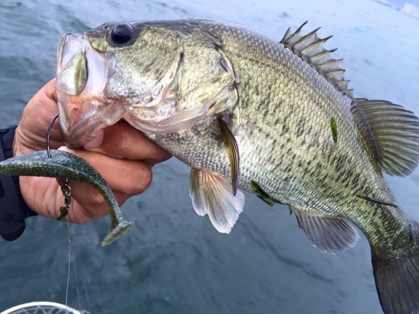 hideup 永野総一朗 ブログ写真 2016/07/14