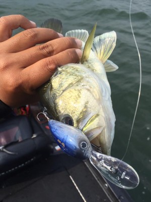 hideup 永野総一朗 ブログ写真 2017/05/11