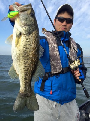 hideup 永野総一朗 ブログ写真 2016/04/16