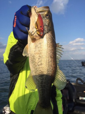 hideup 永野総一朗 ブログ写真 2017/01/10