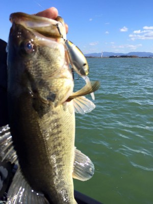 hideup 永野総一朗 ブログ写真 2016/03/15