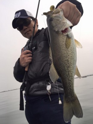 hideup 永野総一朗 ブログ写真 2016/04/11