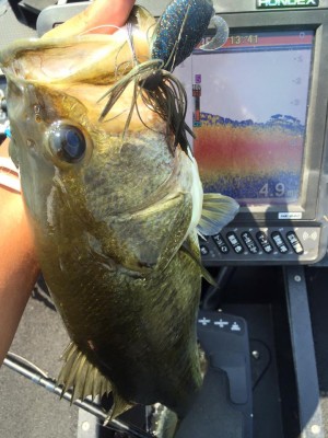 hideup 豌ｸ驥守ｷ丈ｸ譛� 繝悶Ο繧ｰ蜀咏悄 2016/08/04