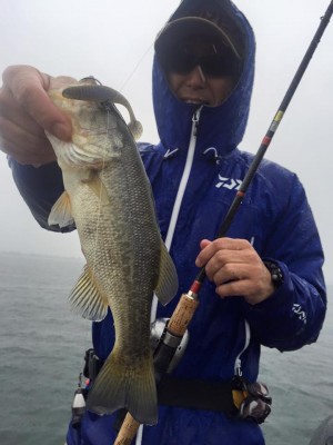 hideup 永野総一朗 ブログ写真 2015/11/08