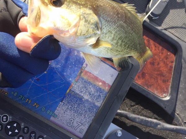 hideup 永野総一朗 ブログ写真 2016/12/25