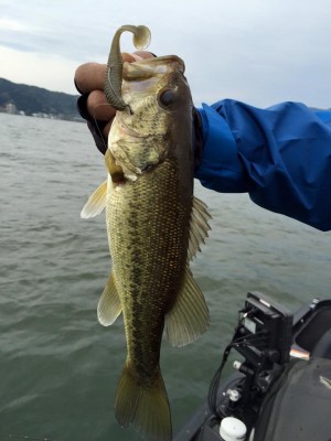 hideup 永野総一朗 ブログ写真 2016/05/03