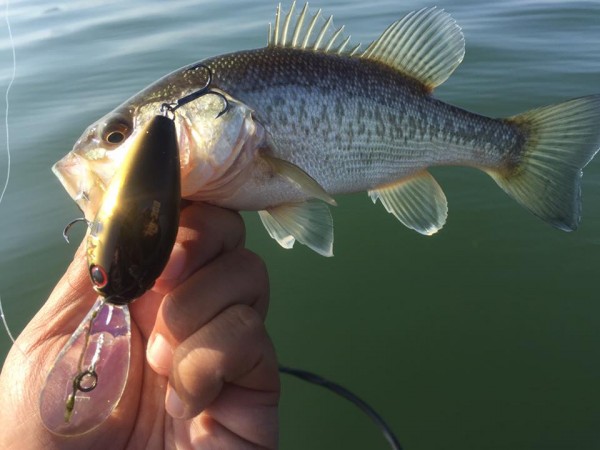 hideup 永野総一朗 ブログ写真 2016/11/05