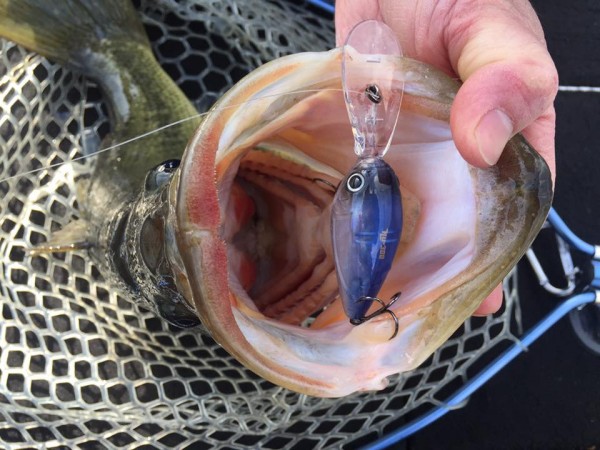 hideup 永野総一朗 ブログ写真 2017/03/24