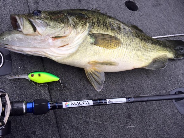 hideup 永野総一朗 ブログ写真 2015/11/13