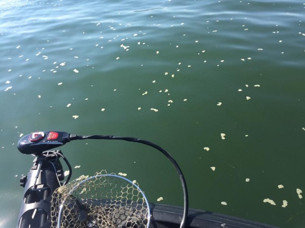 hideup 永野総一朗 ブログ写真 2016/10/15