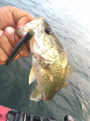 hideup 永野総一朗 ブログ写真 2015/09/21