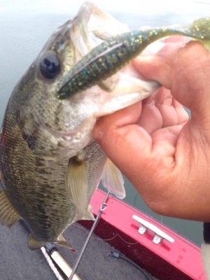 hideup 永野総一朗 ブログ写真 2015/04/06