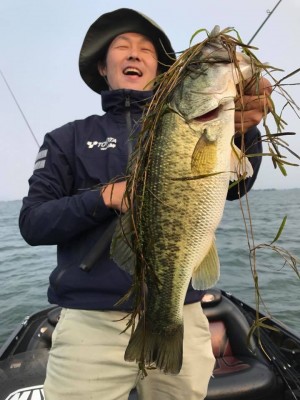 hideup 豌ｸ驥守ｷ丈ｸ譛� 繝悶Ο繧ｰ蜀咏悄 2017/06/11