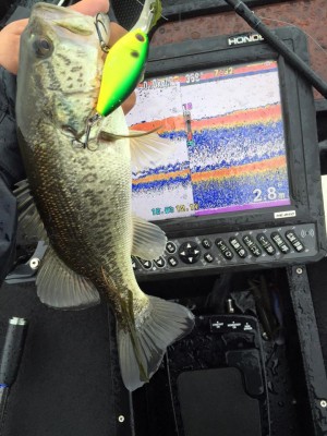 hideup 永野総一朗 ブログ写真 2016/04/17