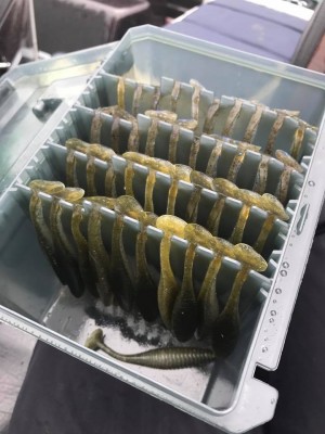 hideup 永野総一朗 ブログ写真 2017/06/08