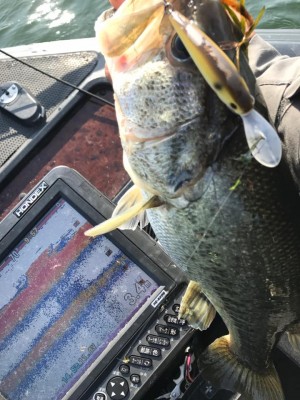 hideup 永野総一朗 ブログ写真 2017/11/15