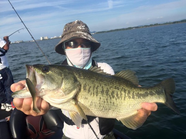 hideup 永野総一朗 ブログ写真 2016/09/01