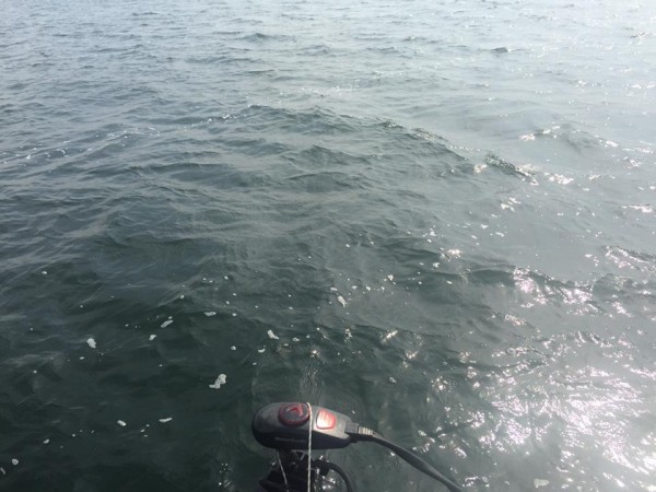 hideup 永野総一朗 ブログ写真 2015/10/10