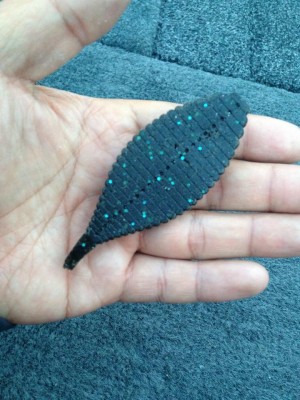 hideup 永野総一朗 ブログ写真 2015/05/08