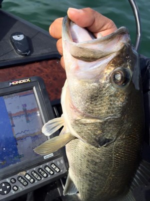 hideup 永野総一朗 ブログ写真 2016/04/05