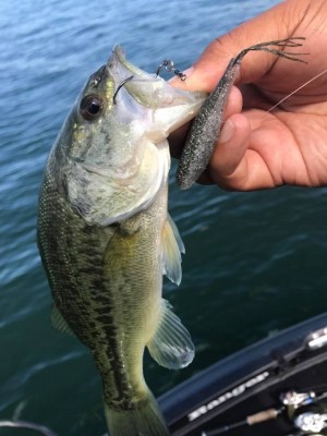 hideup 永野総一朗 ブログ写真 2017/09/10