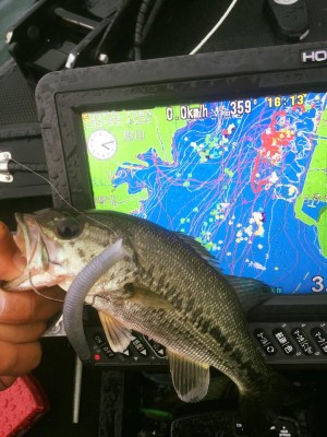 hideup 永野総一朗 ブログ写真 2016/06/20