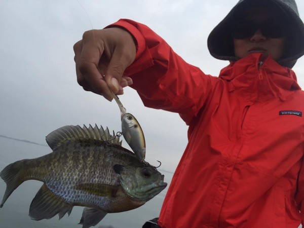 hideup 永野総一朗 ブログ写真 2015/10/12