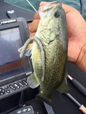 hideup 永野総一朗 ブログ写真 2016/07/25