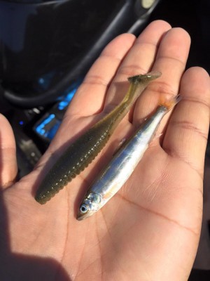 hideup 永野総一朗 ブログ写真 2016/05/18