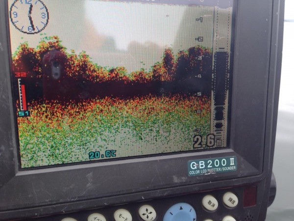 hideup 豌ｸ驥守ｷ丈ｸ譛� 繝悶Ο繧ｰ蜀咏悄 2015/05/25