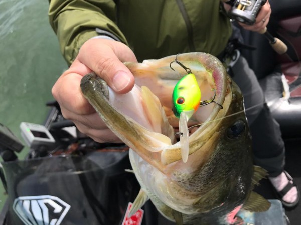 hideup 永野総一朗 ブログ写真 2017/06/12