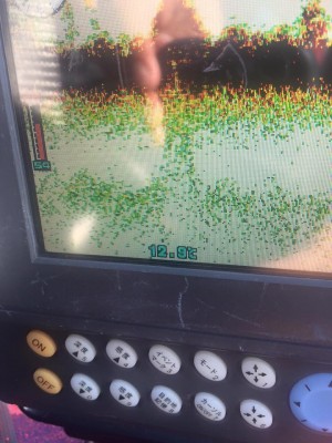 hideup 永野総一朗 ブログ写真 2015/12/12