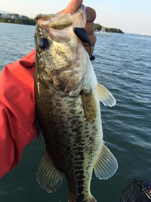 hideup 永野総一朗 ブログ写真 2016/05/21