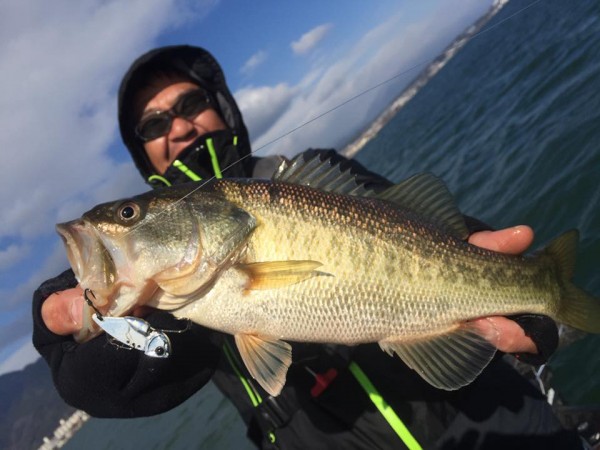 hideup 永野総一朗 ブログ写真 2017/01/14