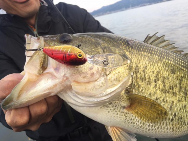 hideup 永野総一朗 ブログ写真 2017/05/04