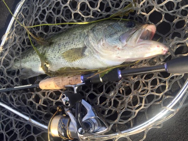 hideup 永野総一朗 ブログ写真 2016/07/01